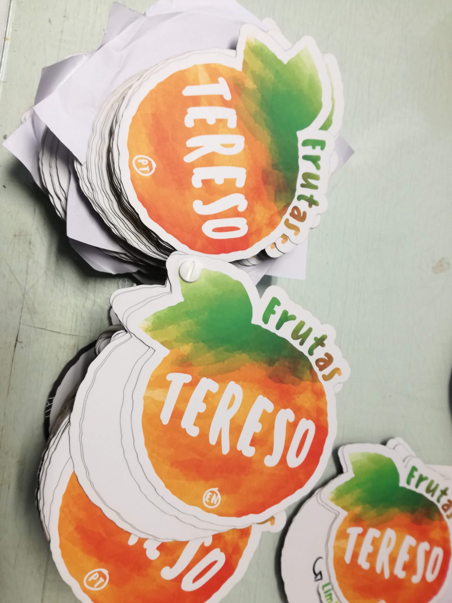 Flyers recortados Frutas Tereso - Impressão Gráfica Braga