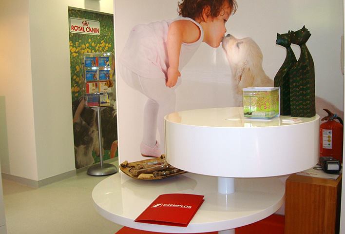 Decoração de montra com vinil - Montras Braga